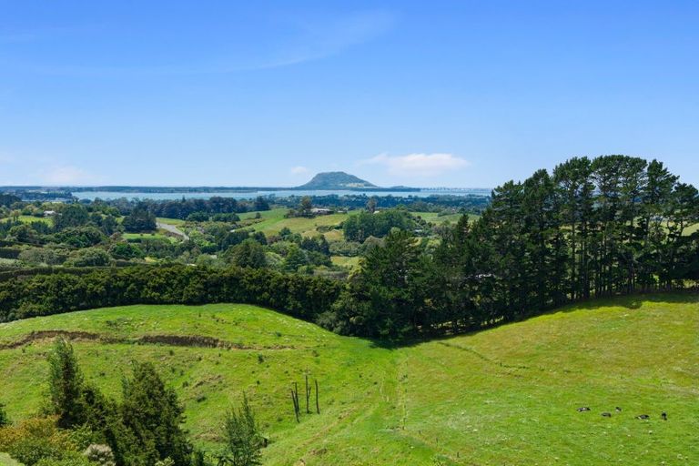 Photo of property in 235 Waipapa Block Road, Whakamarama, Tauranga, 3180