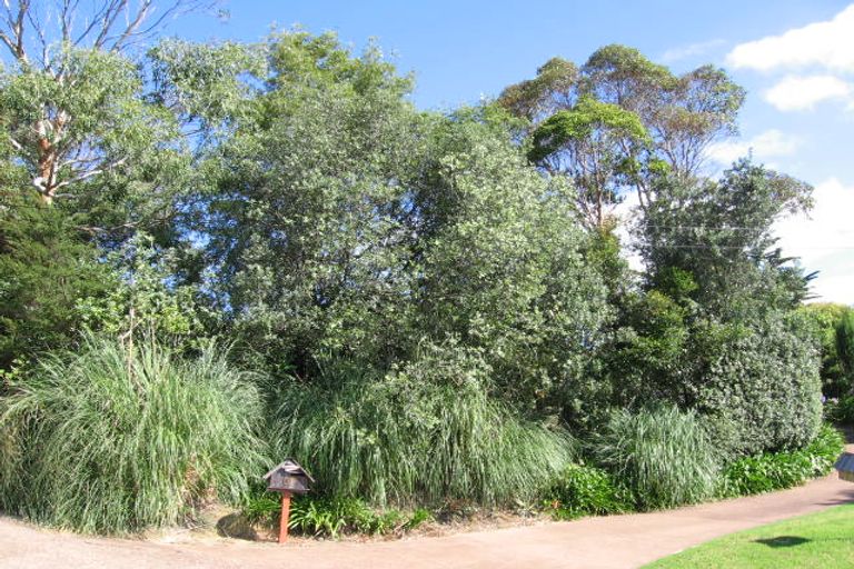 Photo of property in 6 Pacific Parade, Surfdale, Waiheke Island, 1081