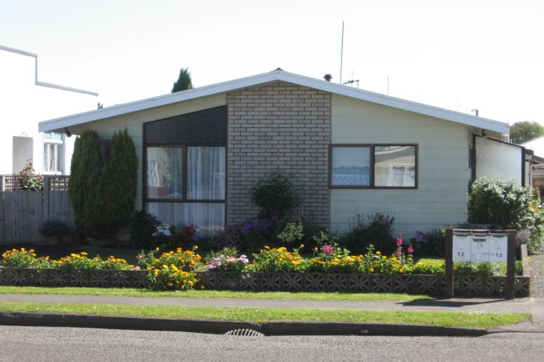 Photo of property in 2/12 Niblett Street, Whanganui, 4500