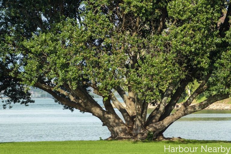 Photo of property in 31c Maxwells Road, Otumoetai, Tauranga, 3110