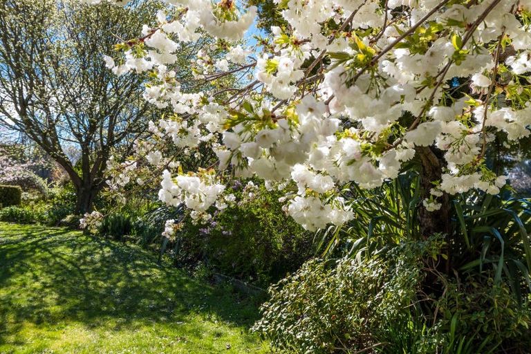 Photo of property in 82 Point Bush Road, Waimate, 7979