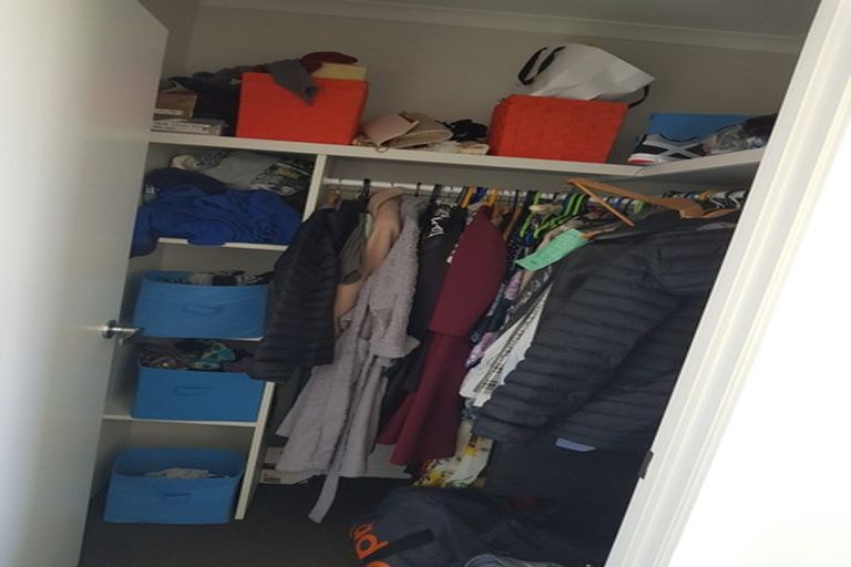 Photo of property in 41 Ladeira Place, Fitzroy, Hamilton, 3206