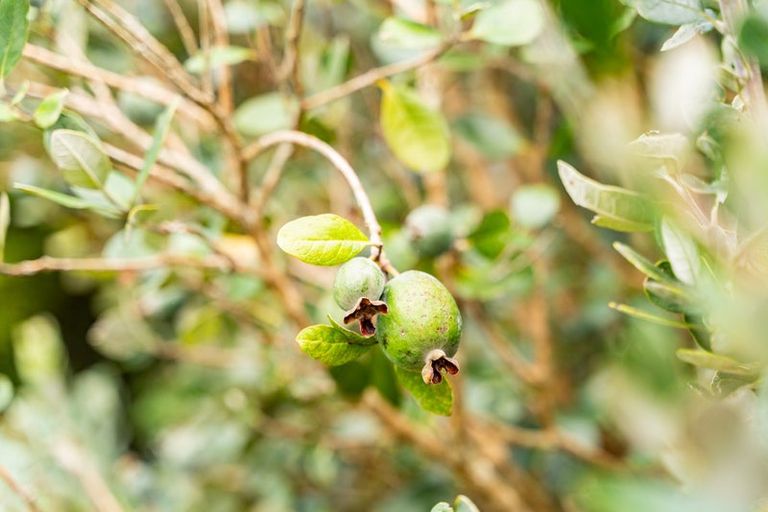 Photo of property in 16 Batten Street, Wellsford, 0900