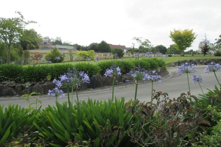 Photo of property in 77 Ribbonwood Road, Geraldine Downs, Geraldine, 7991