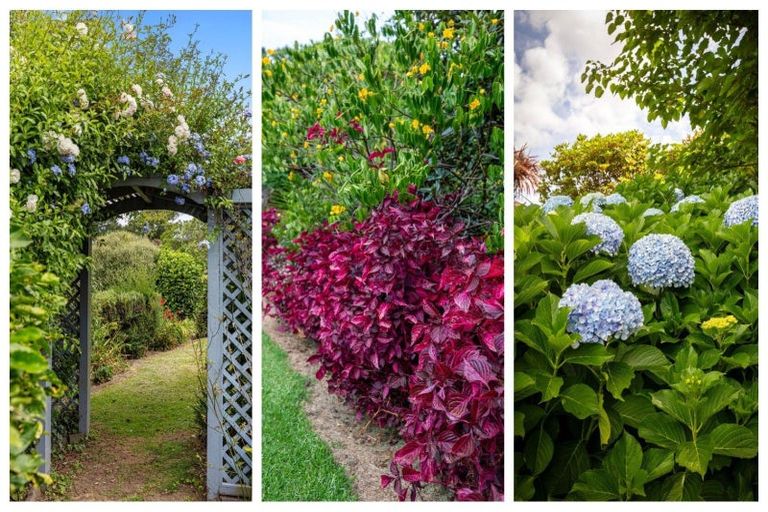 Photo of property in 7 Furniss Lane, Tauriko, Tauranga, 3110