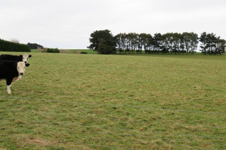 Photo of property in 326 Lorne-dacre Road, Roslyn Bush, Invercargill, 9876