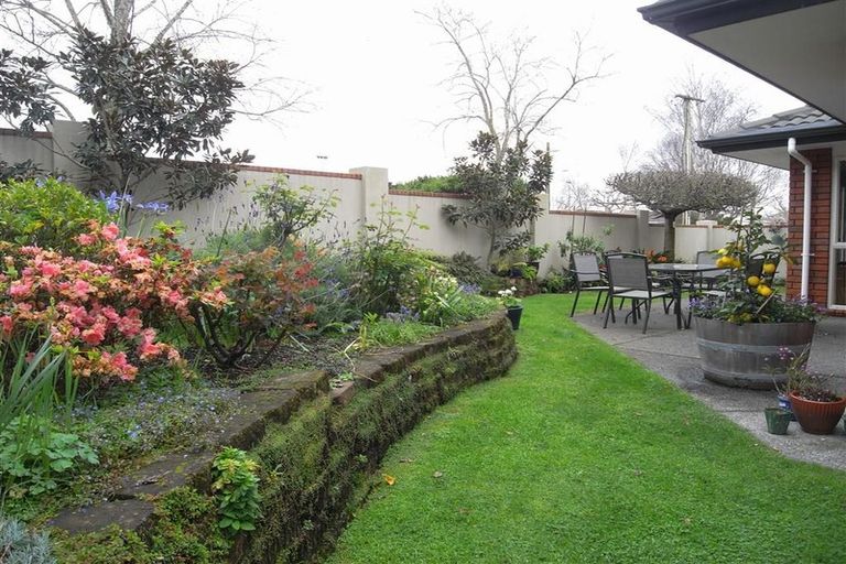 Photo of property in 10a Erson Avenue, Royal Oak, Auckland, 1061