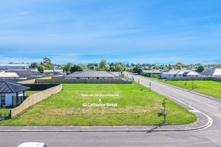 Photo of property in 60 Catherine Street, Tinwald, Ashburton, 7700
