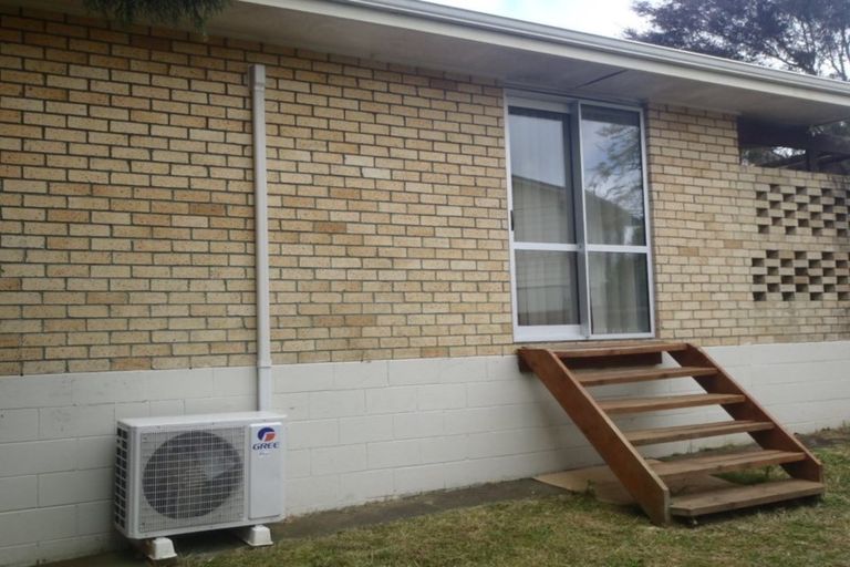 Photo of property in 1/117 Astley Avenue, New Lynn, Auckland, 0600