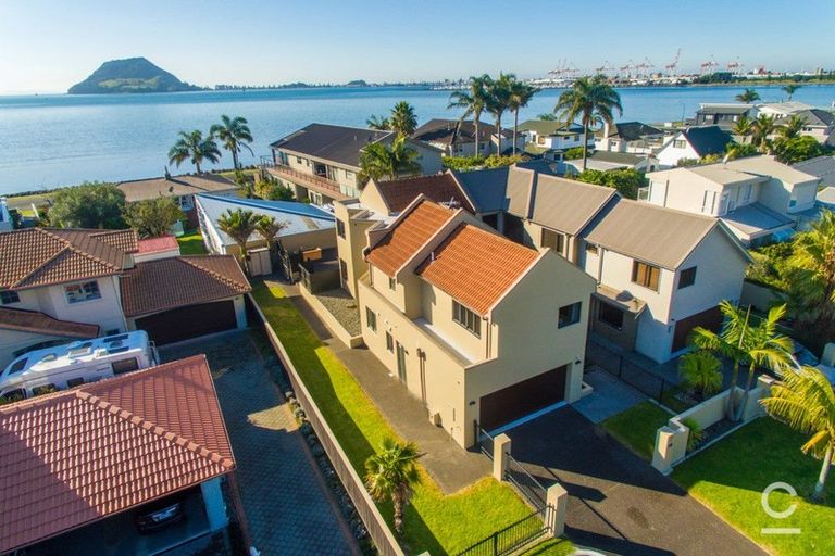 Photo of property in 53 Kulim Avenue, Otumoetai, Tauranga, 3110