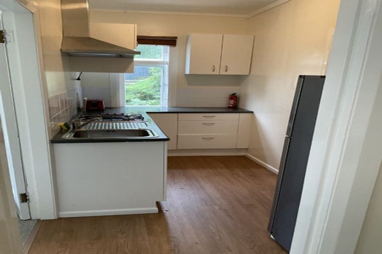 Photo of property in 215 Aro Street, Aro Valley, Wellington, 6021