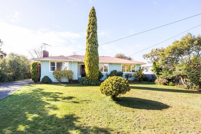 Photo of property in 162 Bridge Street, Bulls, 4818