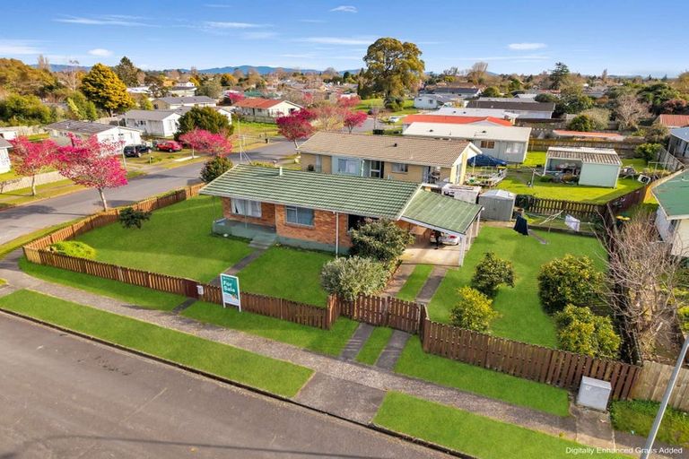 Photo of property in 8 Emerald Place, Chartwell, Hamilton, 3210