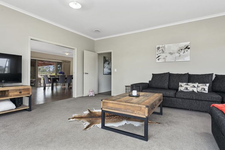 Photo of property in 165 Buckland Road, Matamata, 3472