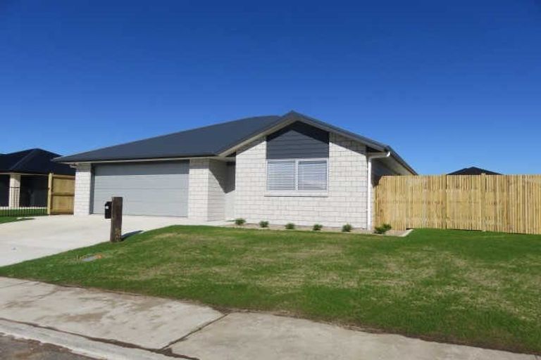 Photo of property in 14 Ladeira Place, Fitzroy, Hamilton, 3206