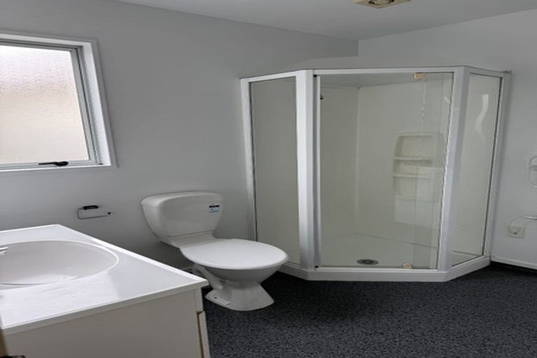 Photo of property in 99 Elizabeth Street, Riccarton, Christchurch, 8041