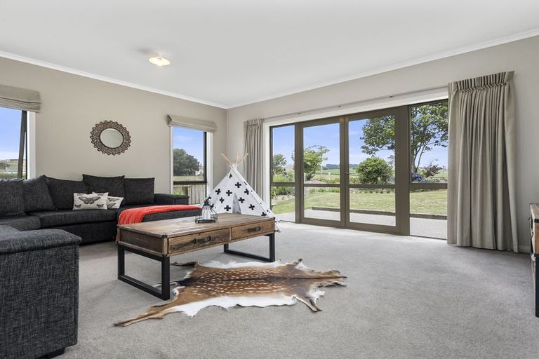 Photo of property in 165 Buckland Road, Matamata, 3472