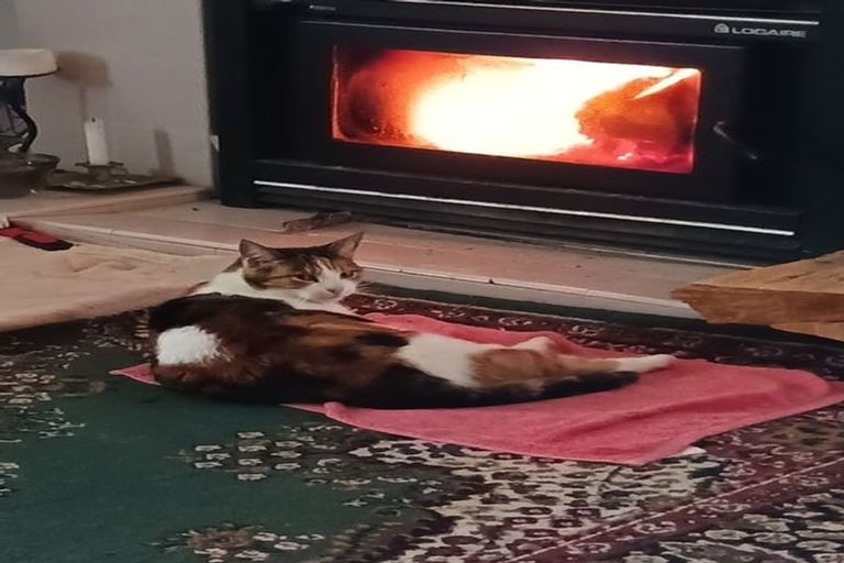 Photo of property in 6534 Matawai Road, Matawai, 4075