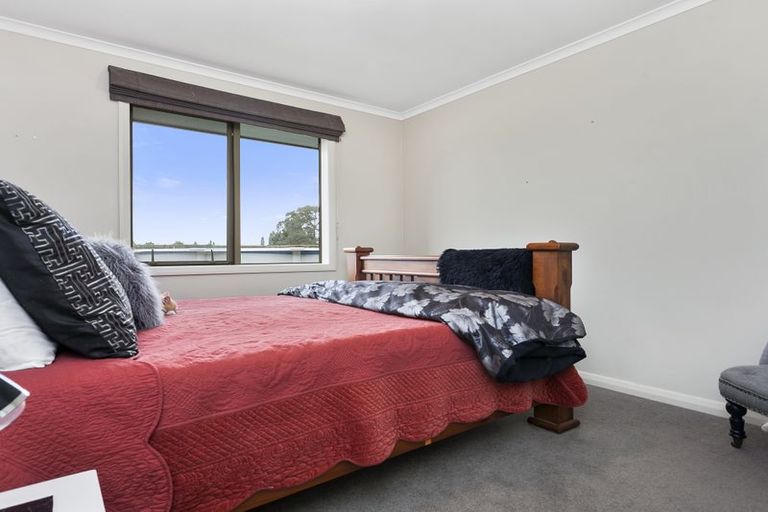 Photo of property in 165 Buckland Road, Matamata, 3472