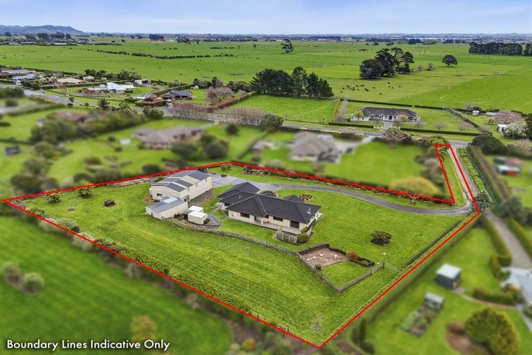 Photo of property in 53 Pohutukawa Drive, Levin, 5571
