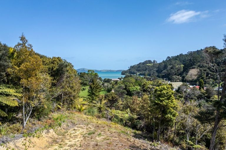 Photo of property in 258 Colville Road, Coromandel, 3584