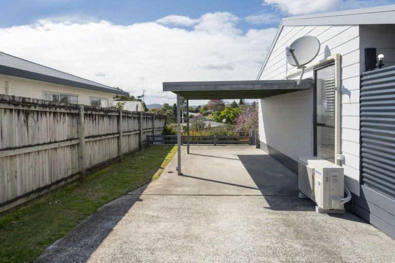 Photo of property in 1124 Cameron Road, Gate Pa, Tauranga, 3112