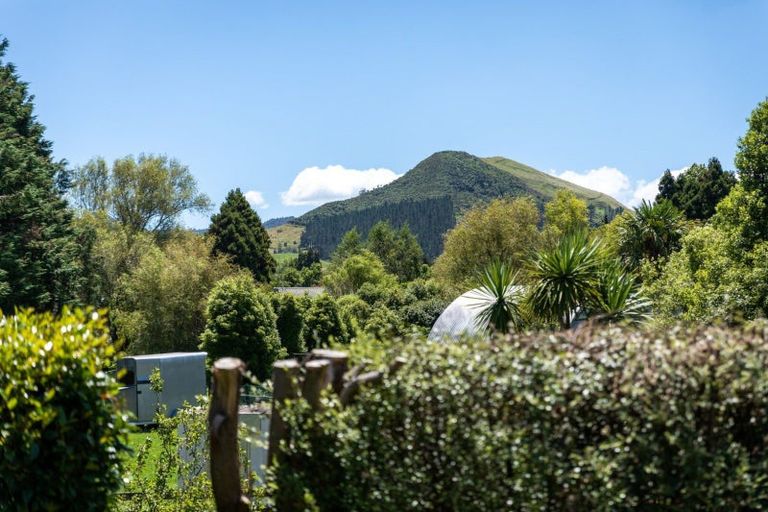 Photo of property in 17 Buller Street, Waihi, 3610