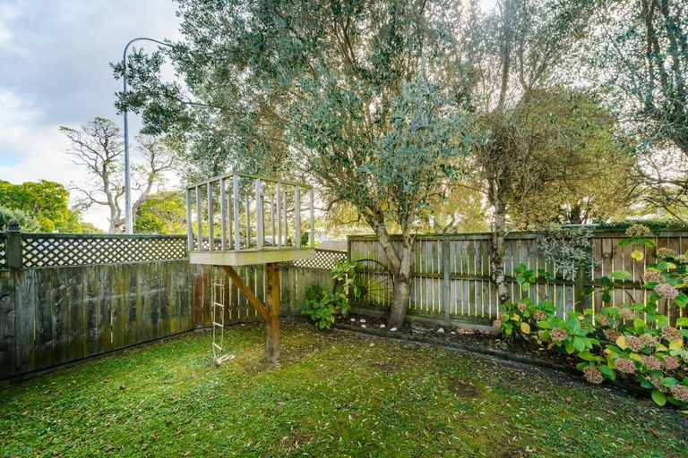 Photo of property in 118 Pahiatua Street, Hokowhitu, Palmerston North, 4410