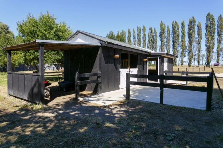 Photo of property in 175 Tiverton Downs Road, Broadlands, Reporoa, 3081