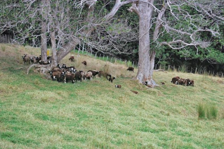 Photo of property in 76 Spindler Road, Wellsford, 0972