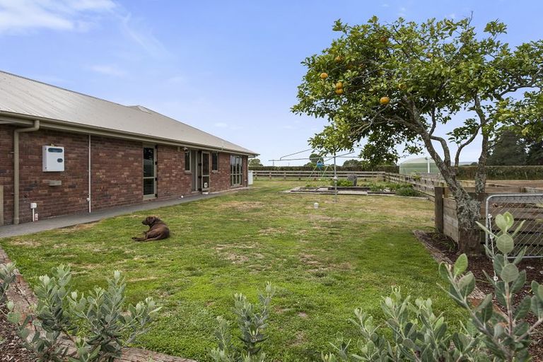 Photo of property in 165 Buckland Road, Matamata, 3472