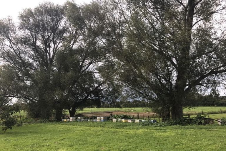 Photo of property in 145 Park Estate Road, Rosehill, Papakura, 2113