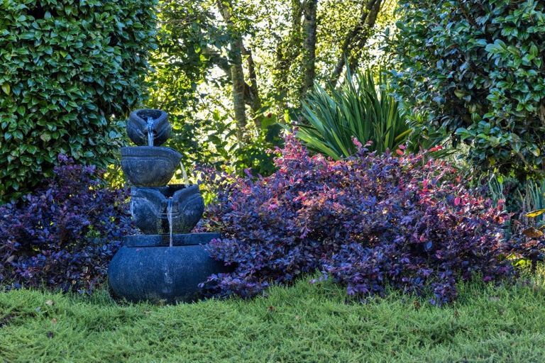 Photo of property in 421 Manaia Road, Manaia, Hawera, 4678