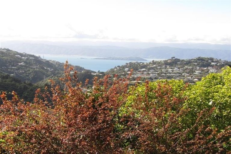 Photo of property in 16 Downing Street, Crofton Downs, Wellington, 6035