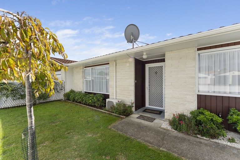 Photo of property in 15 Montgomery Street, Levin, 5510