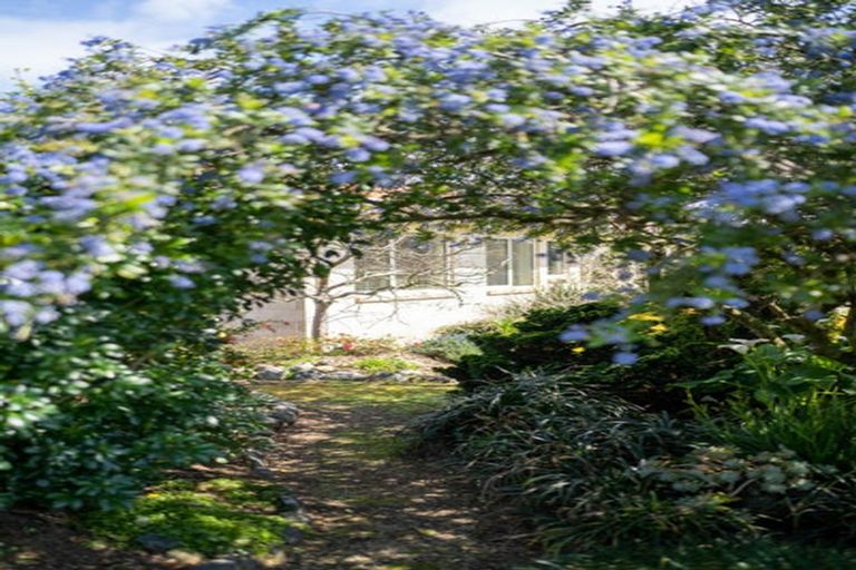 Photo of property in 13 Hogan Road, Cambridge, 3493