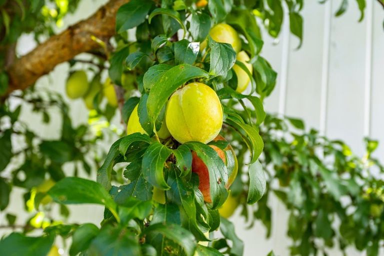 Photo of property in 5 Kermadec Crescent, Waipu, 0510