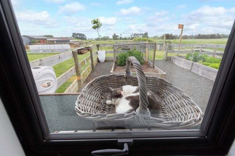 Photo of property in 63c Duck Road, Rotokauri, Hamilton, 3288