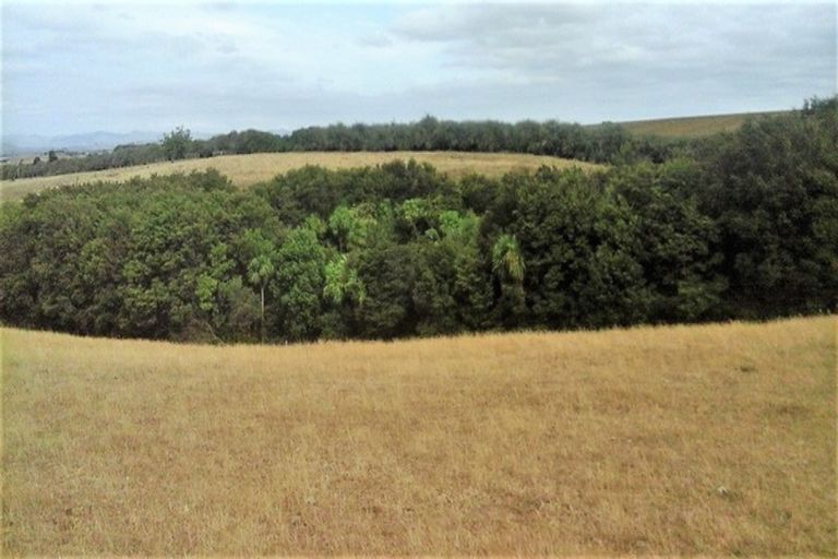 Photo of property in 174 Morrison Road, Pukekawa, Tuakau, 2696