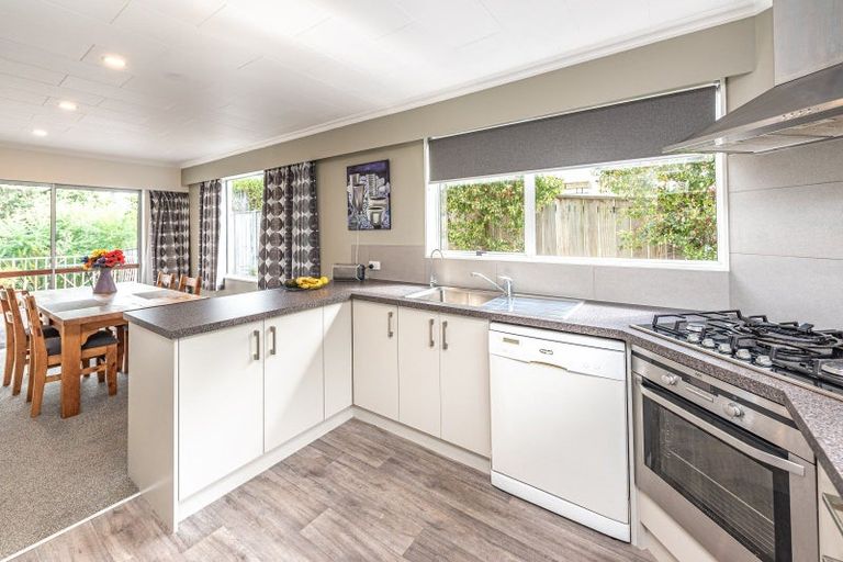 Photo of property in 41 Parkes Avenue, Saint Johns Hill, Whanganui, 4501