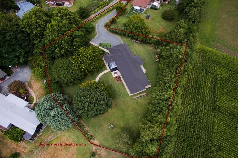 Photo of property in 29 Sheffield Street, Matamata, 3400