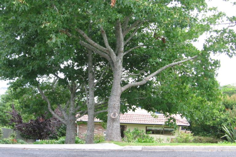 Photo of property in 1/38 Palmerston Road, Birkenhead, Auckland, 0626