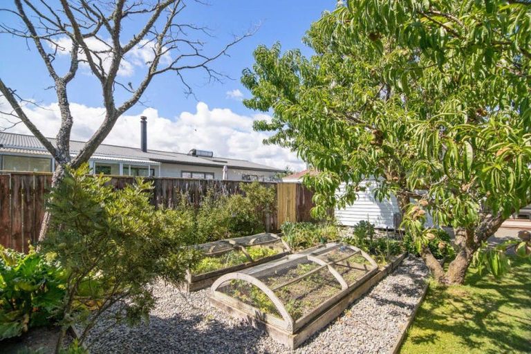 Photo of property in 56 Green Street, Tahunanui, Nelson, 7011