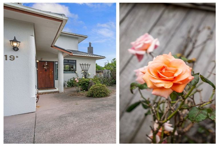 Photo of property in 19b Brinkley Road, Otumoetai, Tauranga, 3110