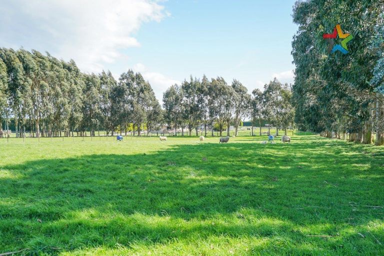 Photo of property in 43 Steel Road, West Plains, Invercargill, 9874