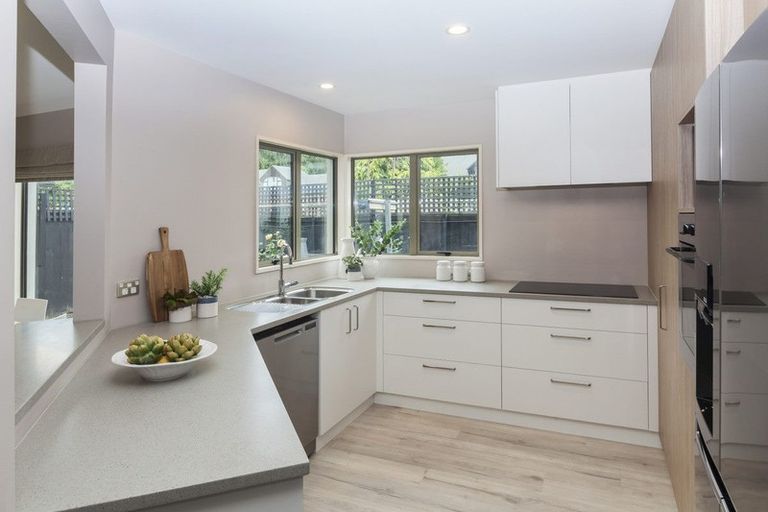 Photo of property in 46a Hamilton Avenue, Ilam, Christchurch, 8041