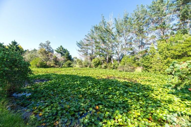 Photo of property in 212 Pine Valley Road, Dairy Flat, Silverdale, 0992