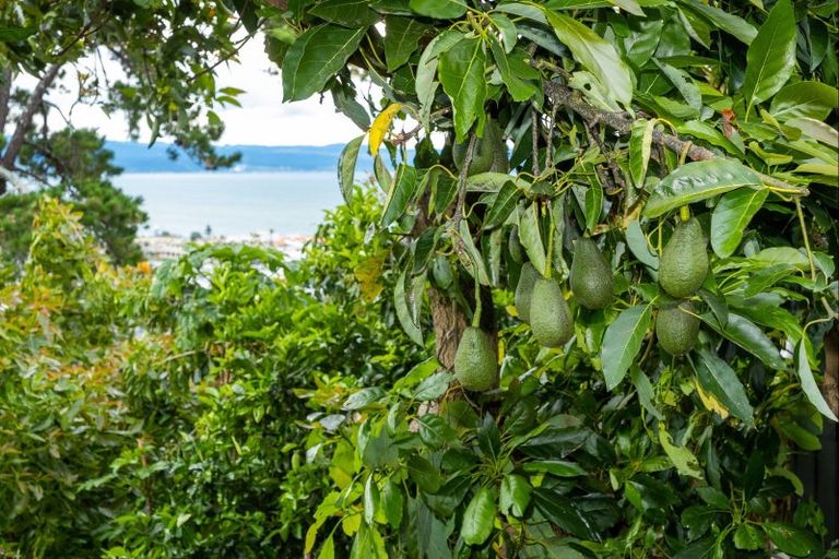 Photo of property in 35 Goldsmith Road, Hospital Hill, Napier, 4110