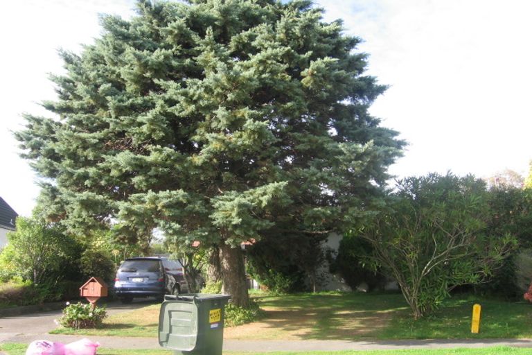 Photo of property in 7 Gainsborough Grove, Highbury, Palmerston North, 4412