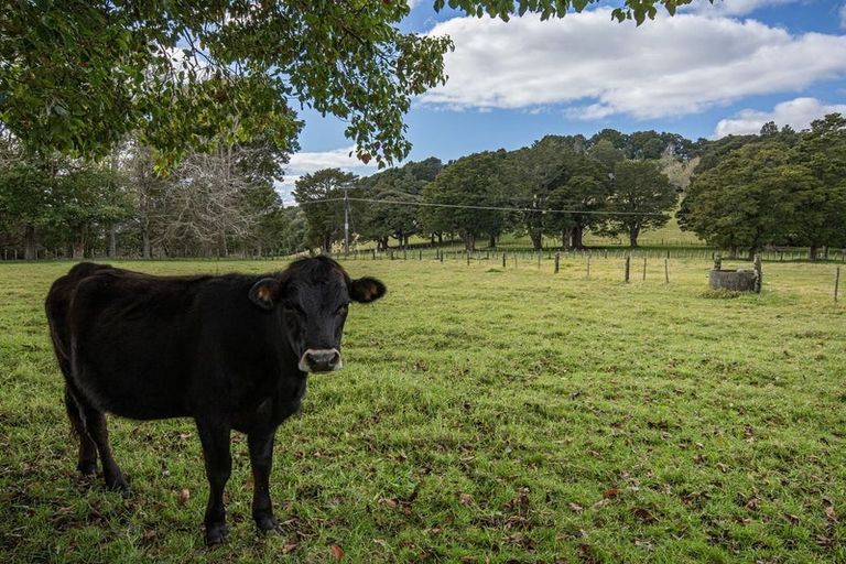 Photo of property in 47 Rushbrook Road, Ruatangata West, Kamo, 0185